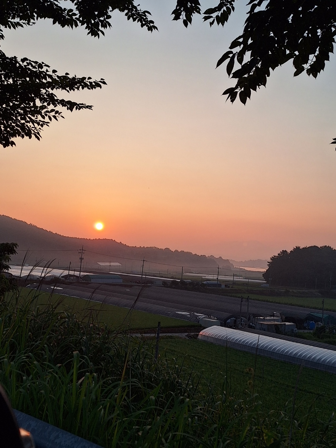 1948697120_z0DfCsnG_6a018cb12173f13efa57bac8385ff700938cda6d.jpg 이미지크게보기